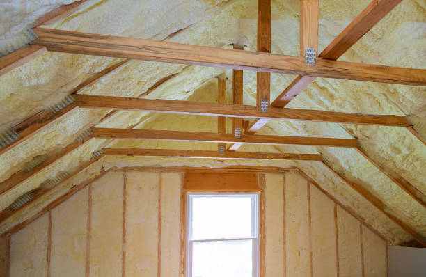 Best Insulation Maintenance and Repair in Columbia, IL