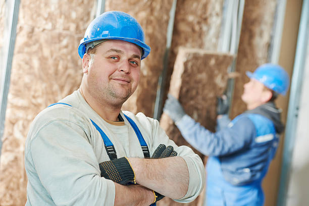 Best Insulation Installation Services in Columbia, IL