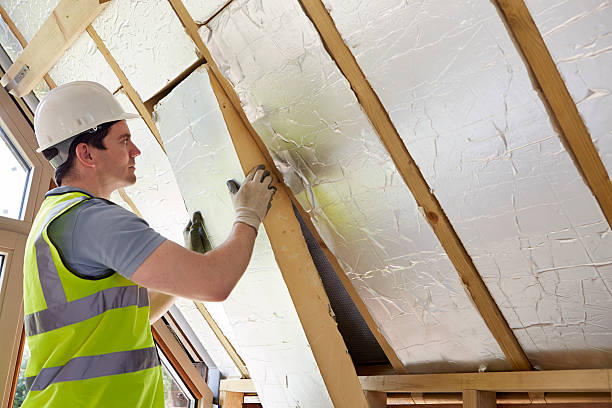 Best Energy Efficiency Solutions in Columbia, IL